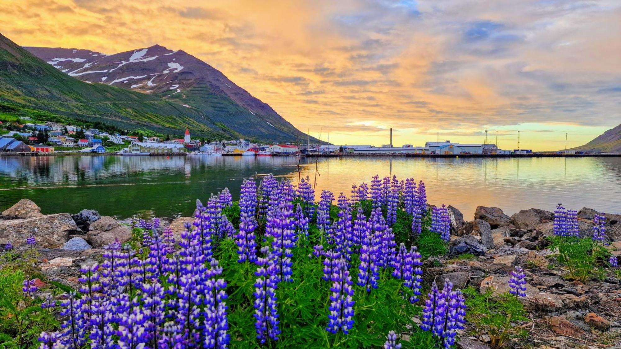 Landakot The Perfect Getaway By Staynorth Siglufjordur 외부 사진